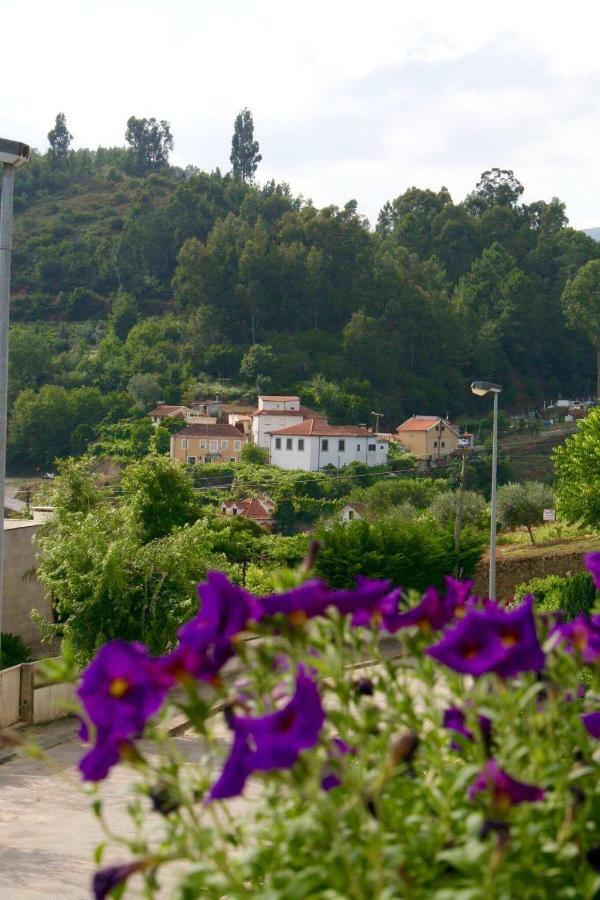 Casa No Douro Guest House Mesão Frio Exterior foto